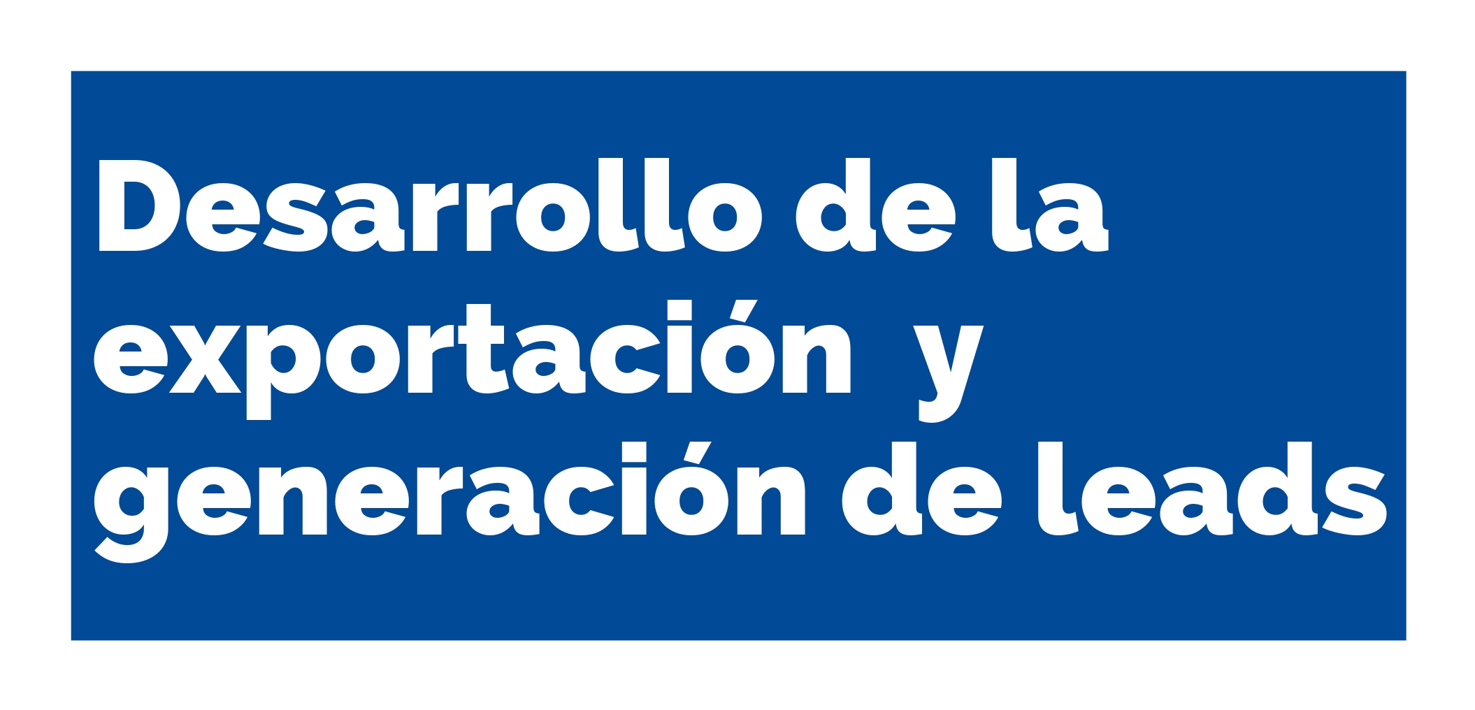 Desarrollo de la exportación  y generación de leads 